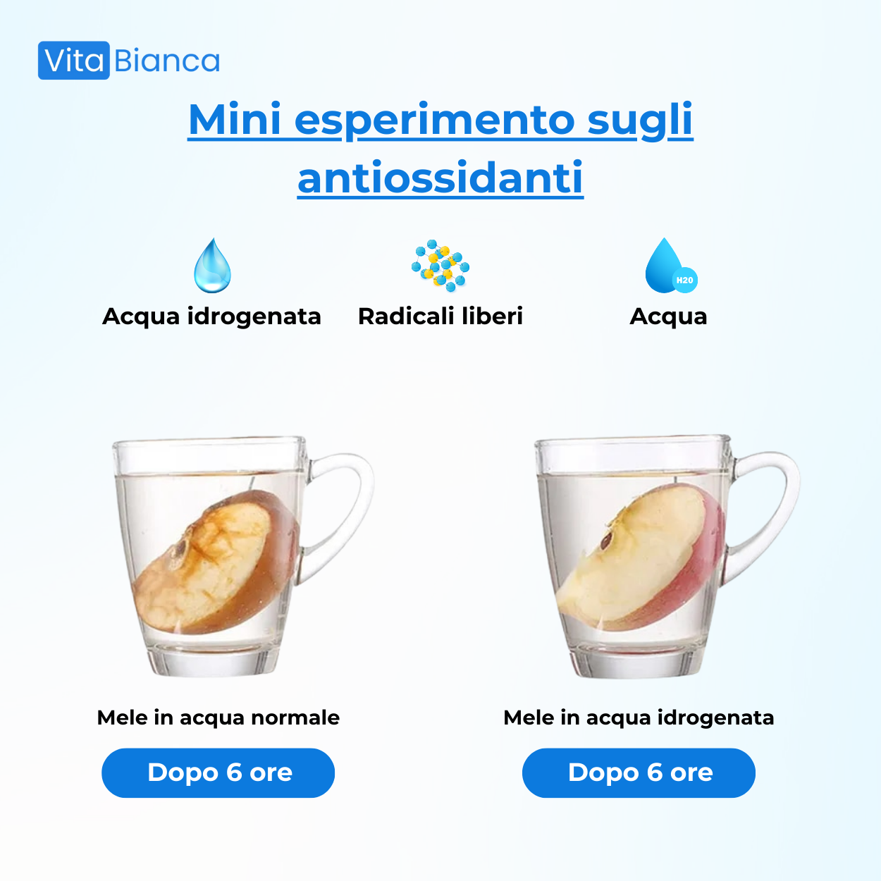 Vita Bianca™ Bottiglia ad Acqua Idrogenata